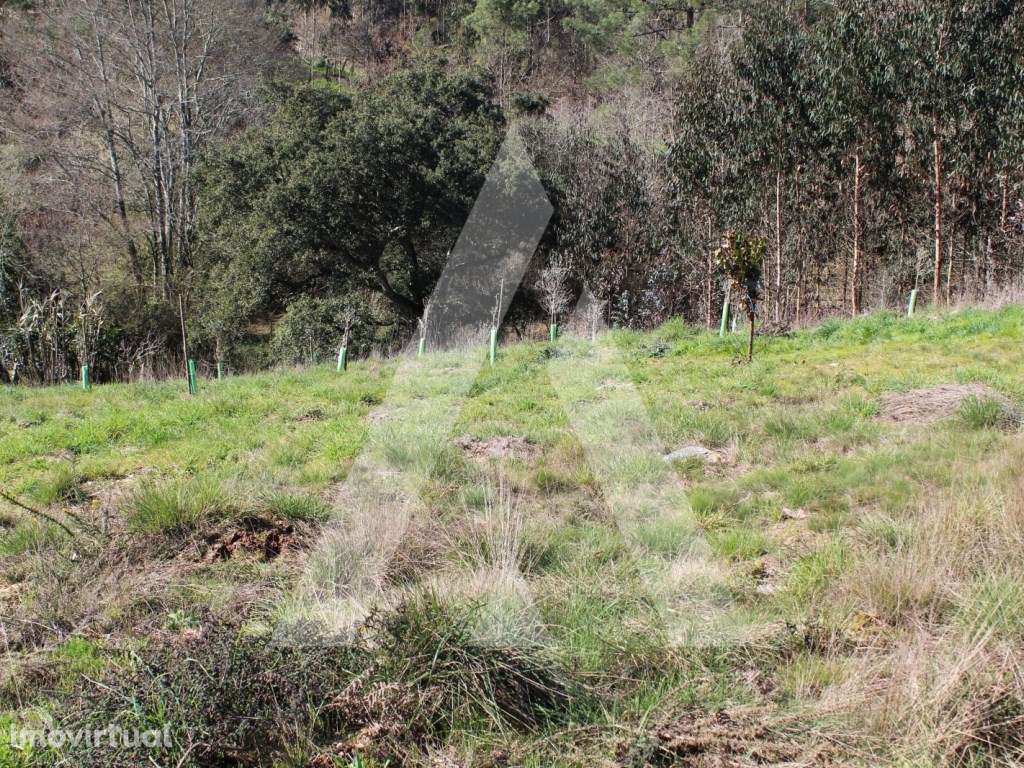 Terreno para Construção - Grande imagem: 5/21