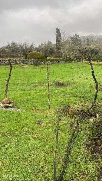 Tereno para Alugar para por Casa Modelar - Grande imagem: 3/4