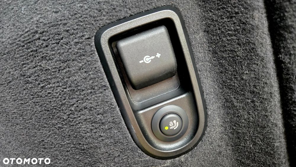 BMW Seria 5 520i Luxury Line - 36