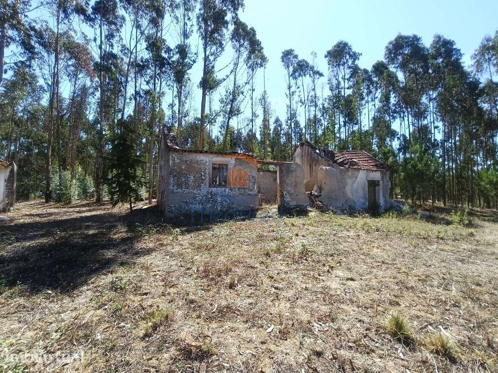 Casa e Adega com 4.200 m2 de terreno | Maxial, Torres Vedras - Grande imagem: 4/11