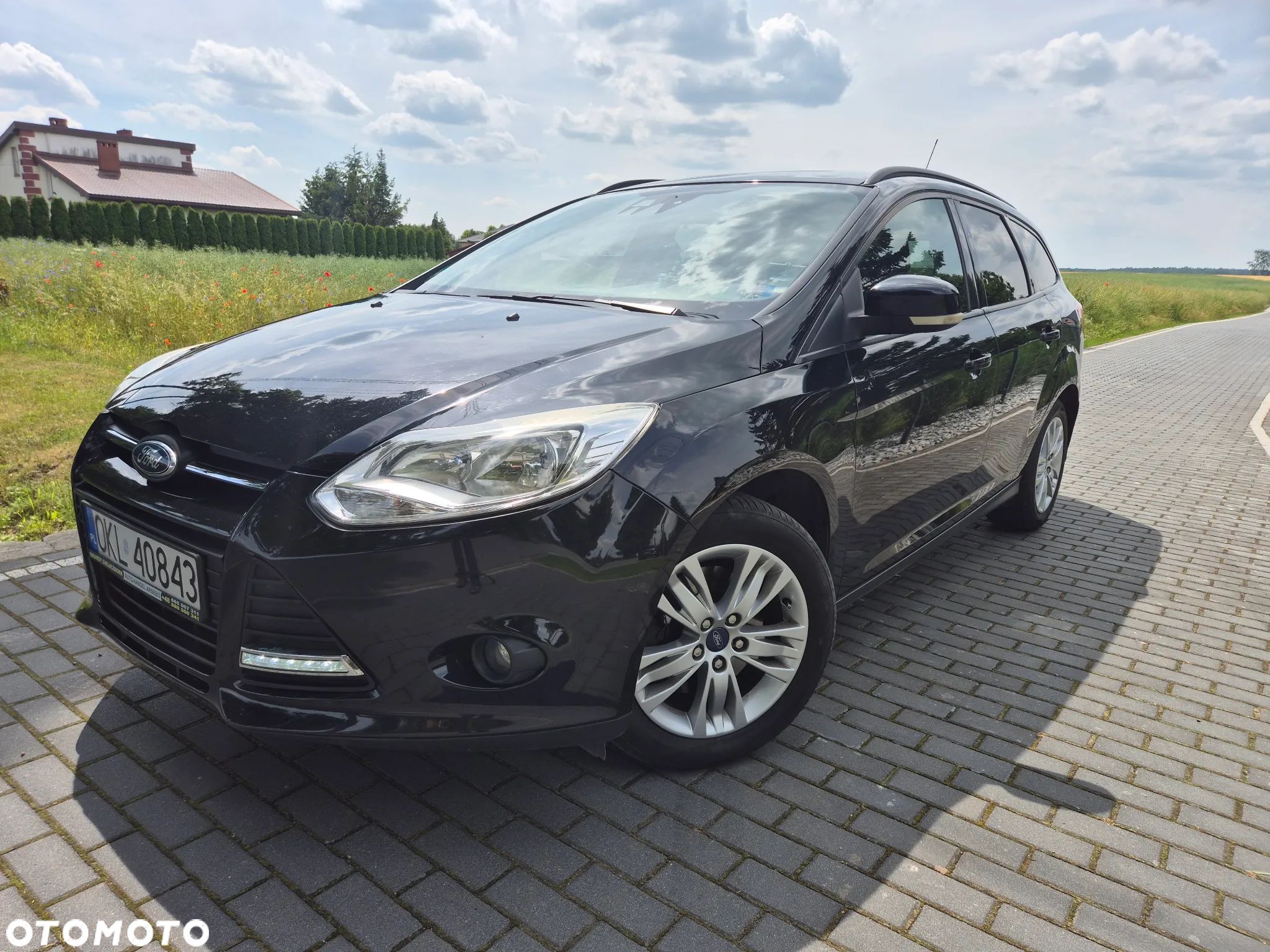 Ford Focus - 1