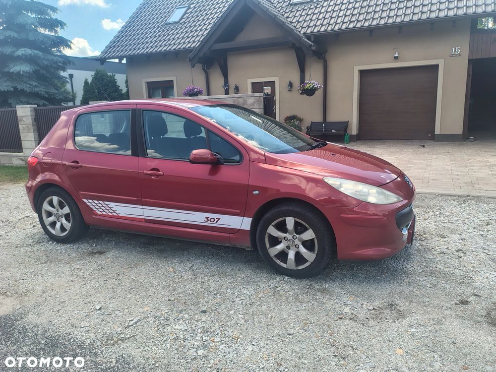 Peugeot 307 1.6 - 6