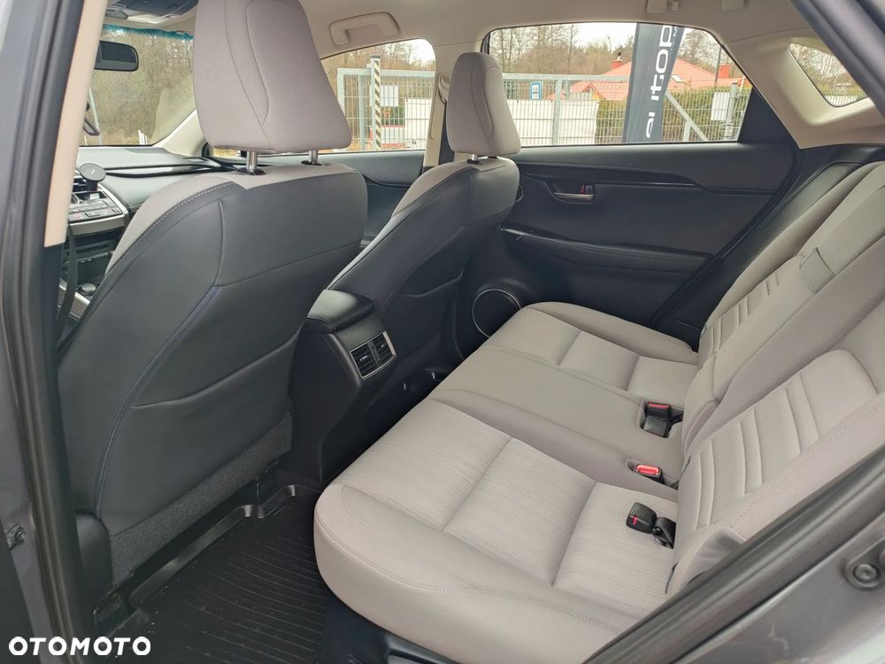 Lexus NX 300h Comfort AWD - 19