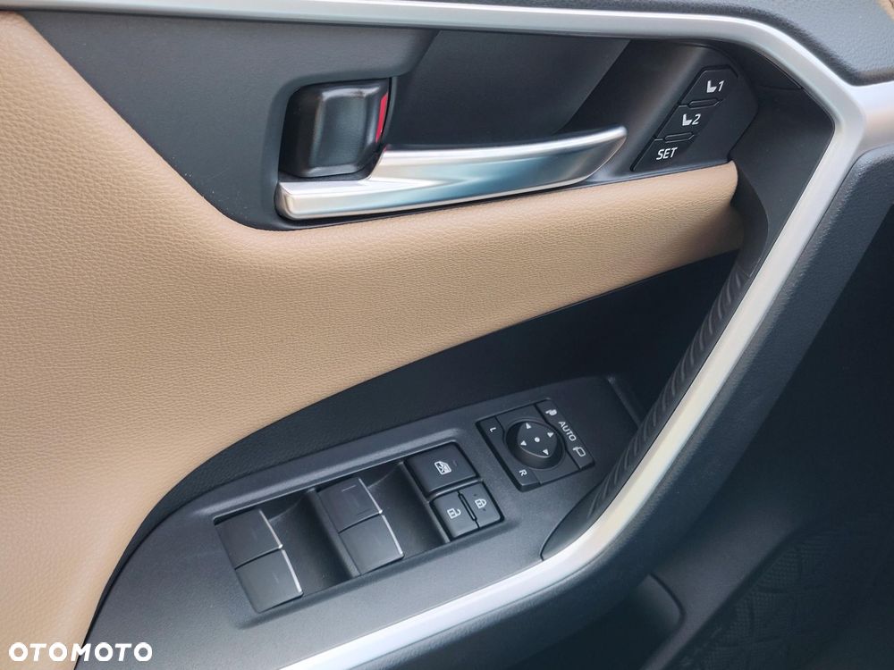 Toyota RAV4 2.5 Hybrid Executive 4x2 - 19