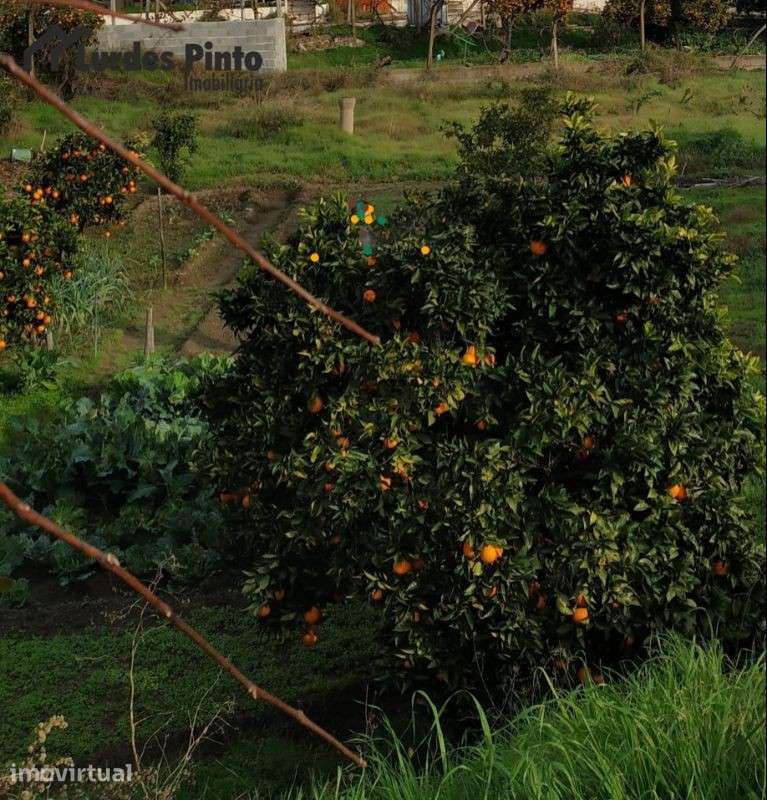 Lote Urbano com excelente localização - Grande imagem: 2/2