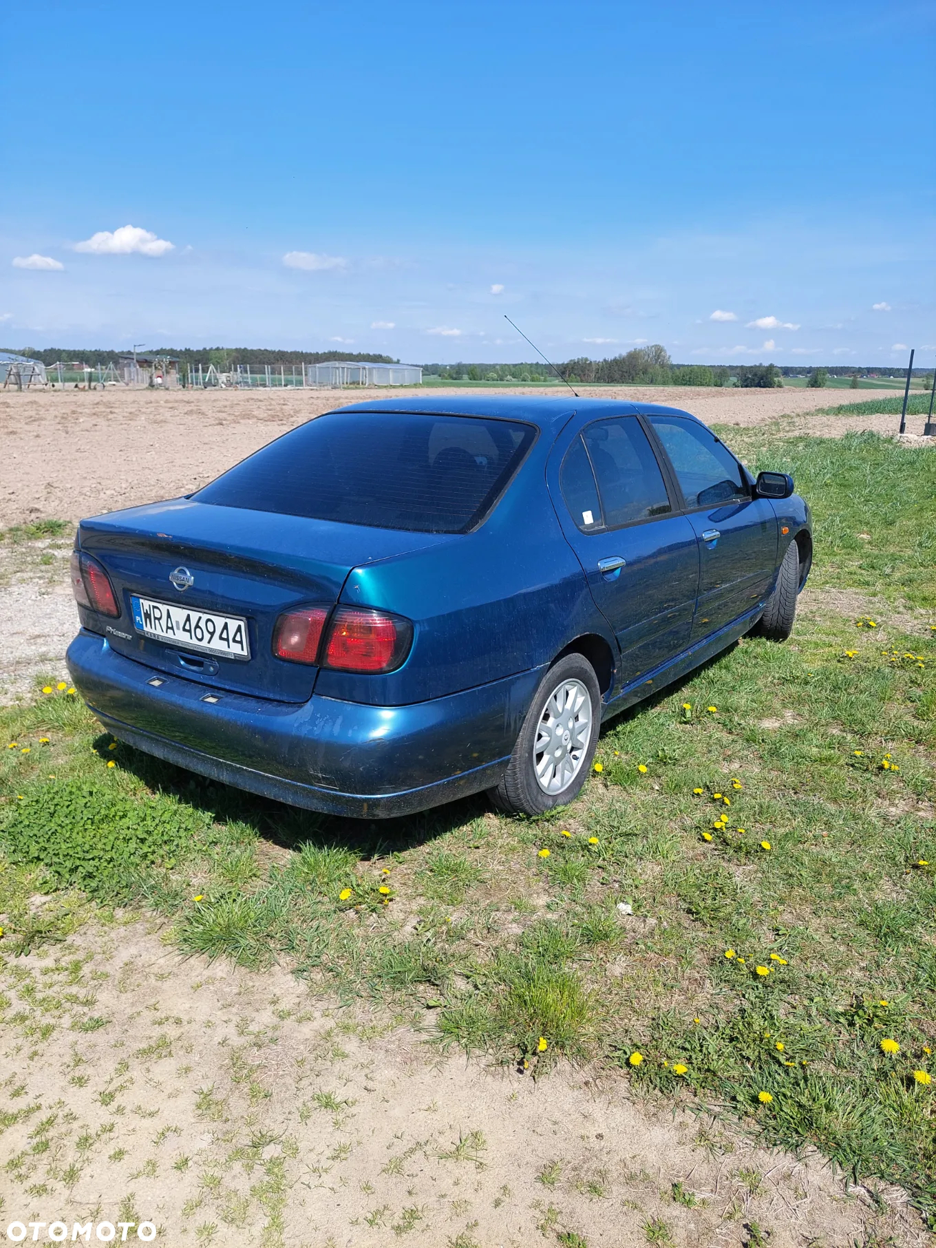 Nissan Primera 1.8 Comfort High - 8