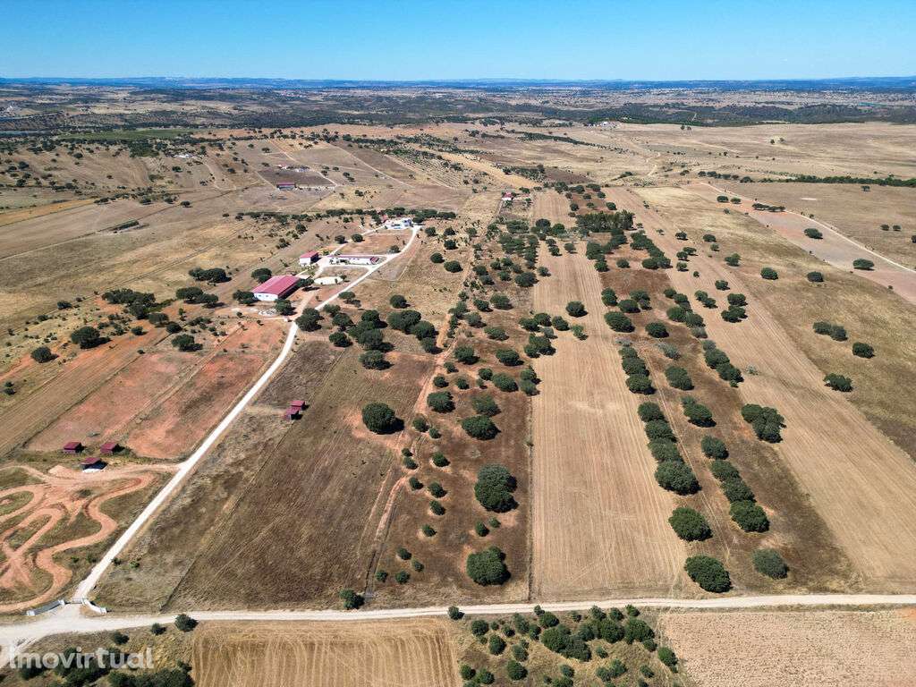 Terreno Misto com 4 Hectares e Armazém Licenciado a 5 Minutos de Monsa - Grande imagem: 3/14