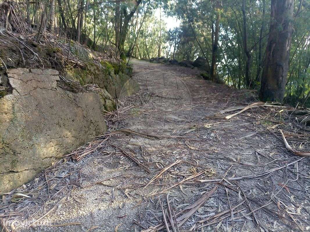 Terreno  para venda - Grande imagem: 5/9