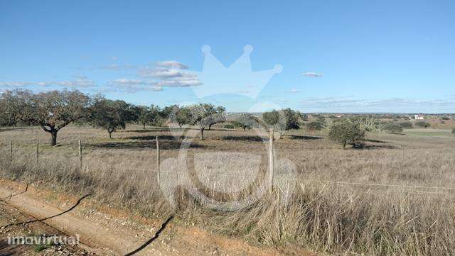 Terreno 6,2 ha - Grande imagem: 3/15