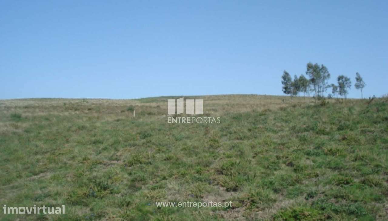Venda Terreno, vista desafogada, Penha Longa, Marco de Canaveses - Grande imagem: 5/9