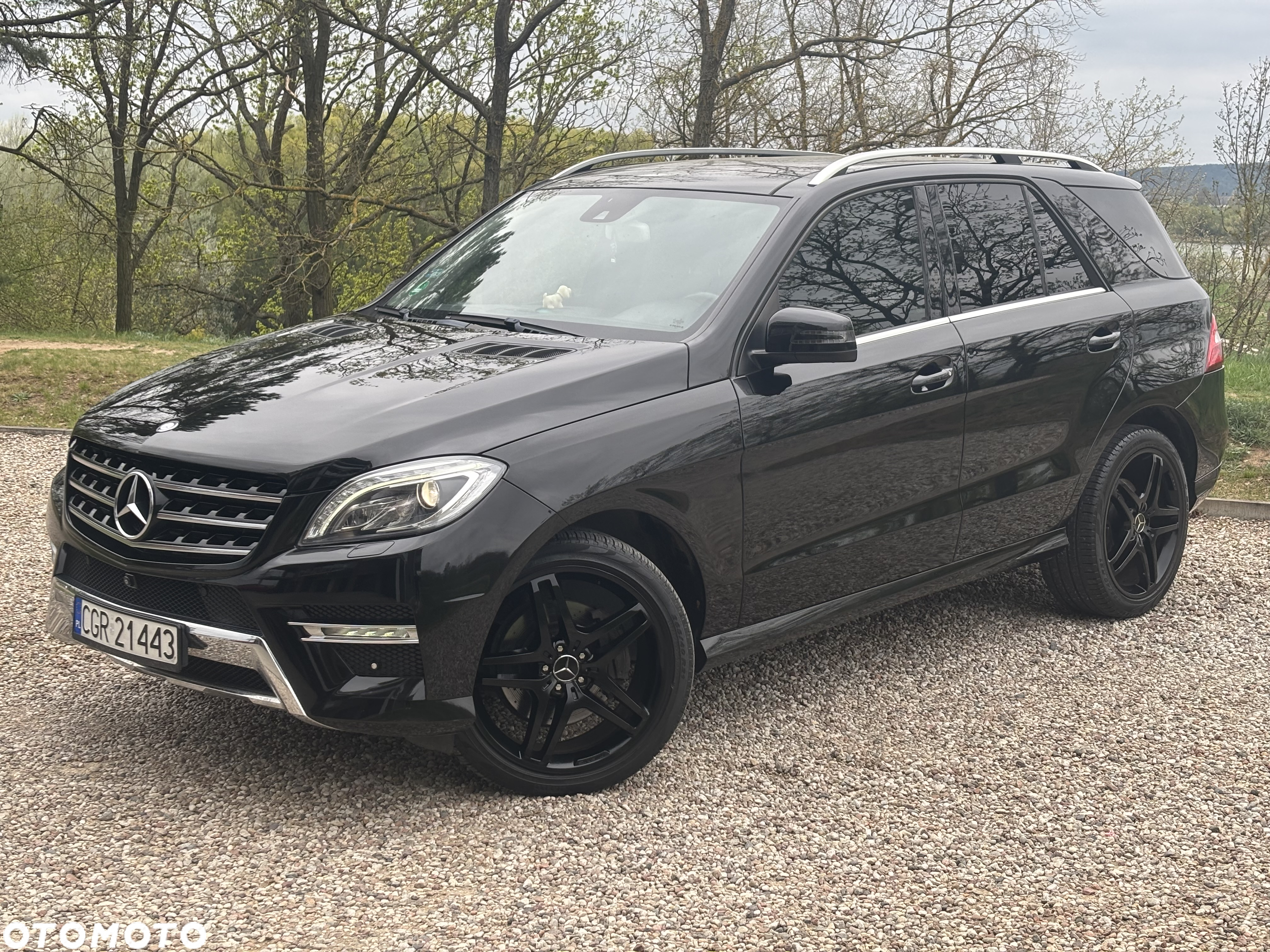 Mercedes-Benz ML 350 BlueTEC 4MATIC 7G-TRONIC - 8