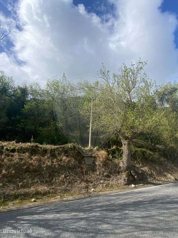 Terreno  para venda - Grande imagem: 5/9
