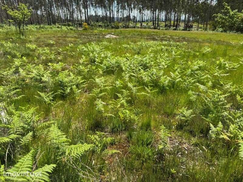 Terreno para Construção - Lamoso, Paços de Ferreira - Grande imagem: 4/5