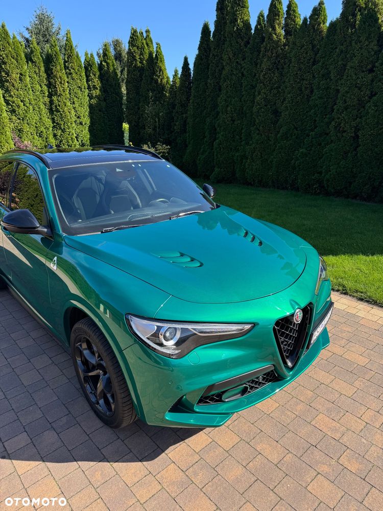 Alfa Romeo Stelvio 2.9 Bi Turbo V6 Quadrifoglio Q4 - 7