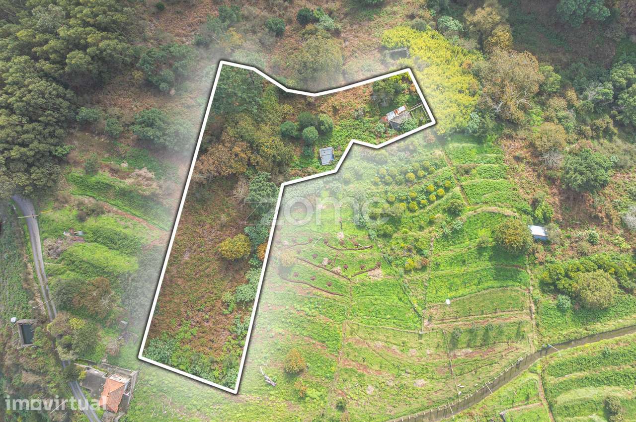 Moradia para recuperar com 2.600 m² de terreno em Santa Cruz - Grande imagem: 5/10