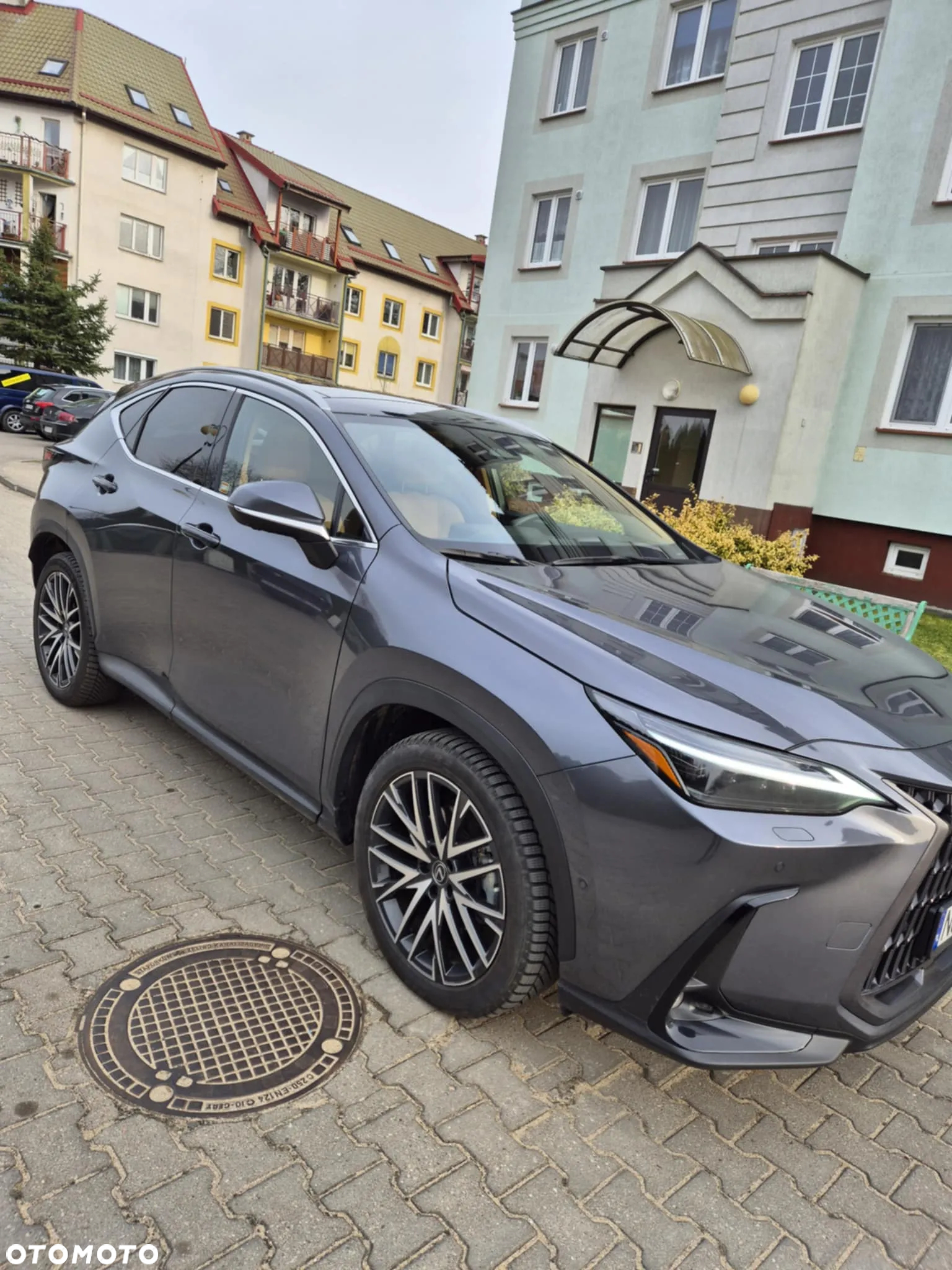 Lexus NX - 6