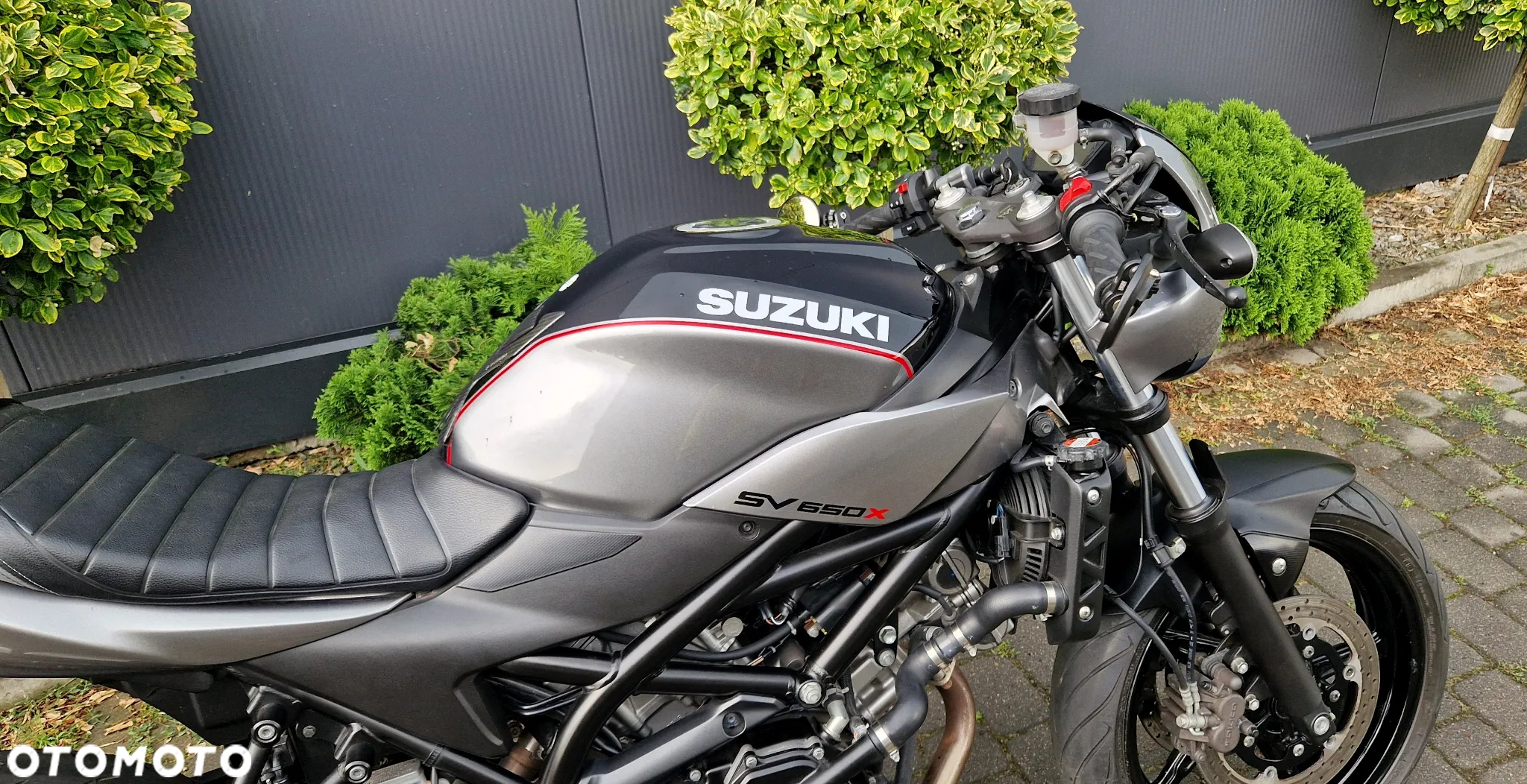 Suzuki SV - 20