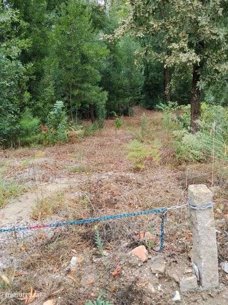 Terreno com 3500m2 - Grande imagem: 2/2