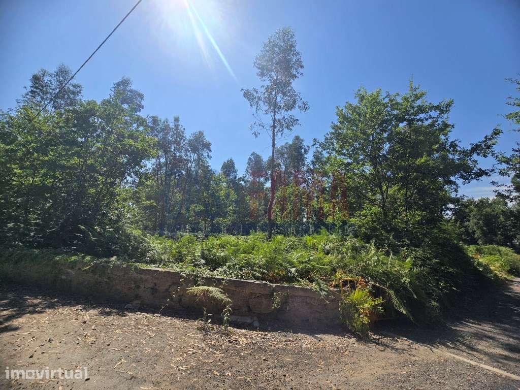 TERRENO PARA VENDA | 8.500 m² | CARREIRA E BENTE - VILA NOVA DE FAM... - Grande imagem: 2/19