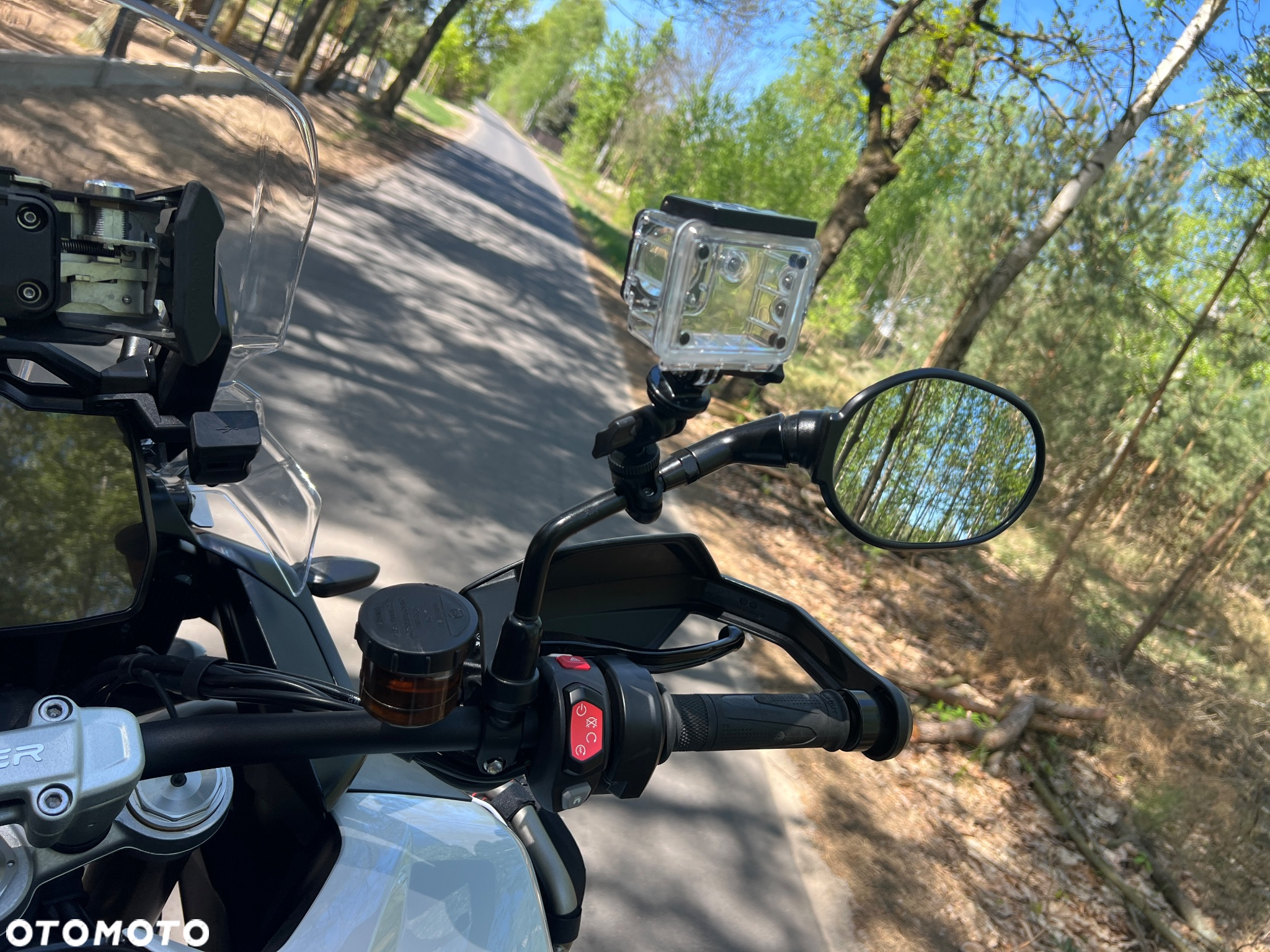 Triumph Tiger - 27