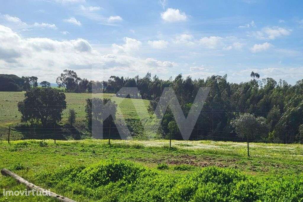 Terreno com 126 Hectares em Odemira - Grande imagem: 5/21