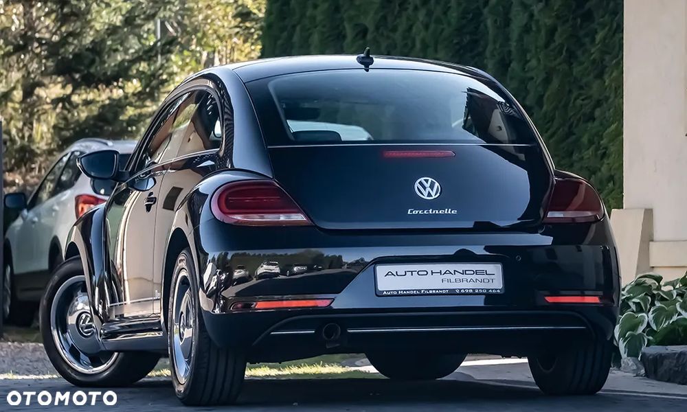 Volkswagen Beetle - 22