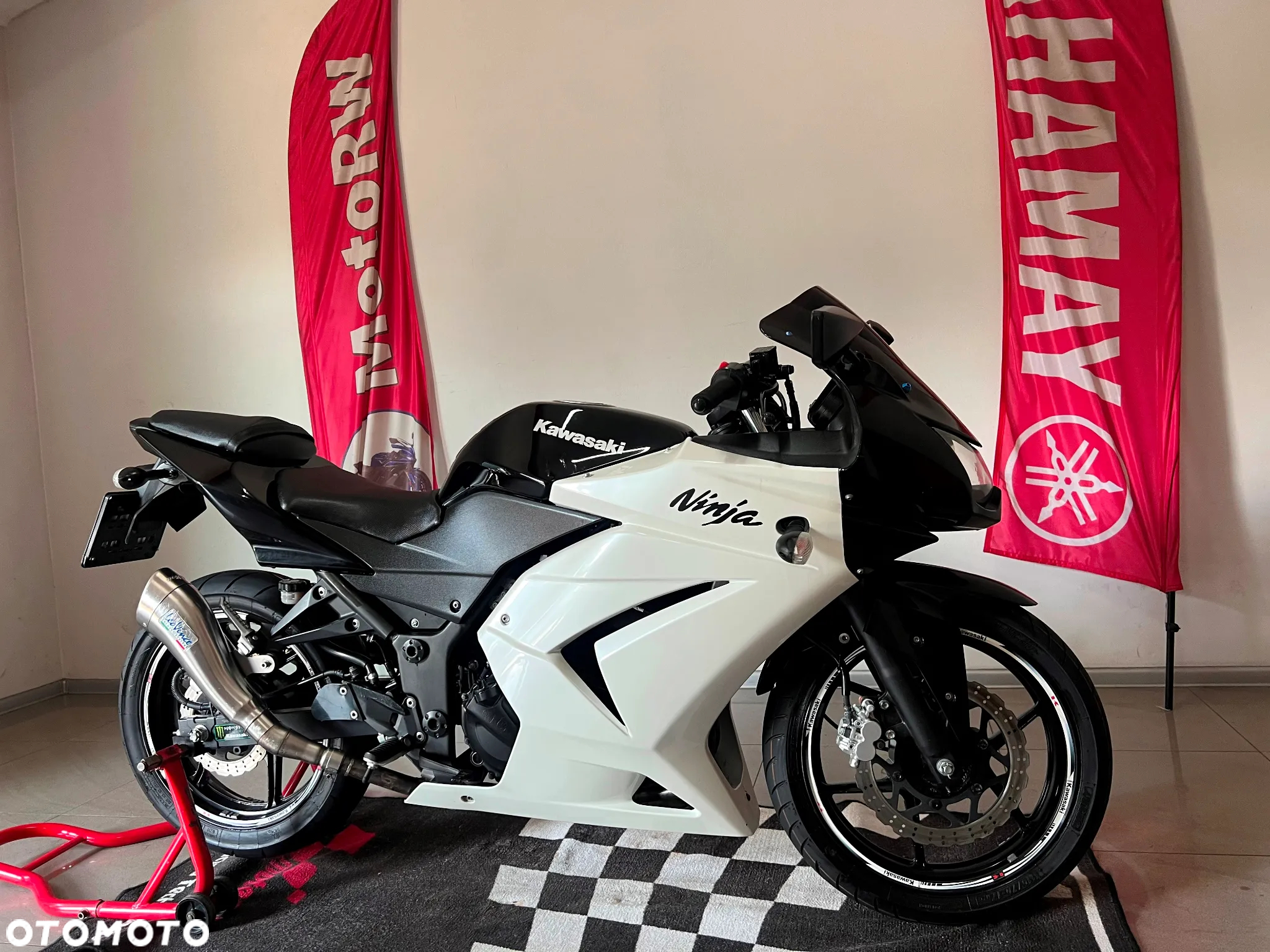 Kawasaki Ninja 250R - 2