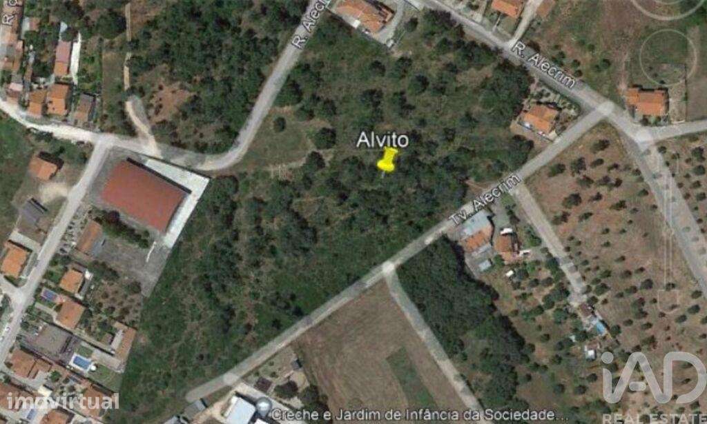 Terreno Agrícola em Tomar e Santa Maria dos Olivais - Grande imagem: 4/4