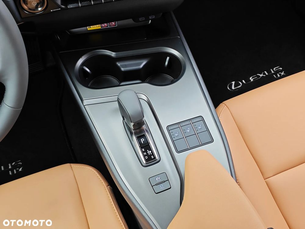 Lexus UX 300h F Sport Design AWD - 22