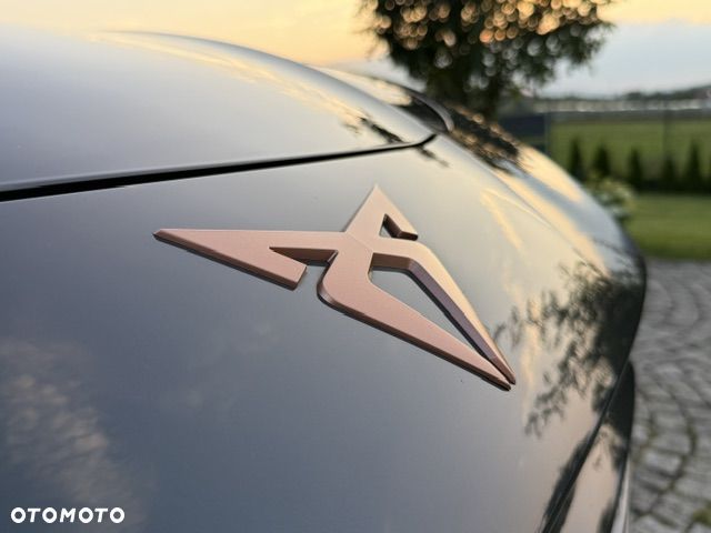 Cupra Terramar 2.0 TSI 4Drive DSG VZ Tribe Edition - 37