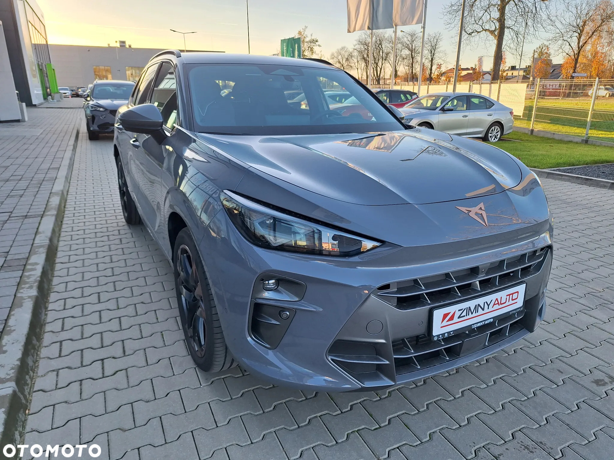 Cupra Terramar - 4