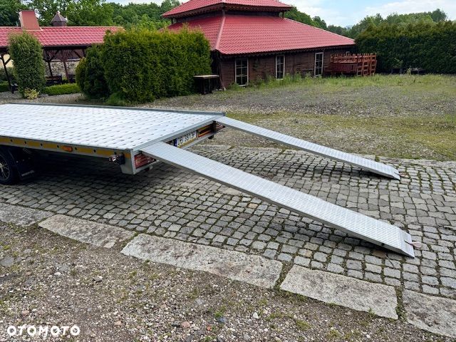 Głowacz WIDPOL - 11