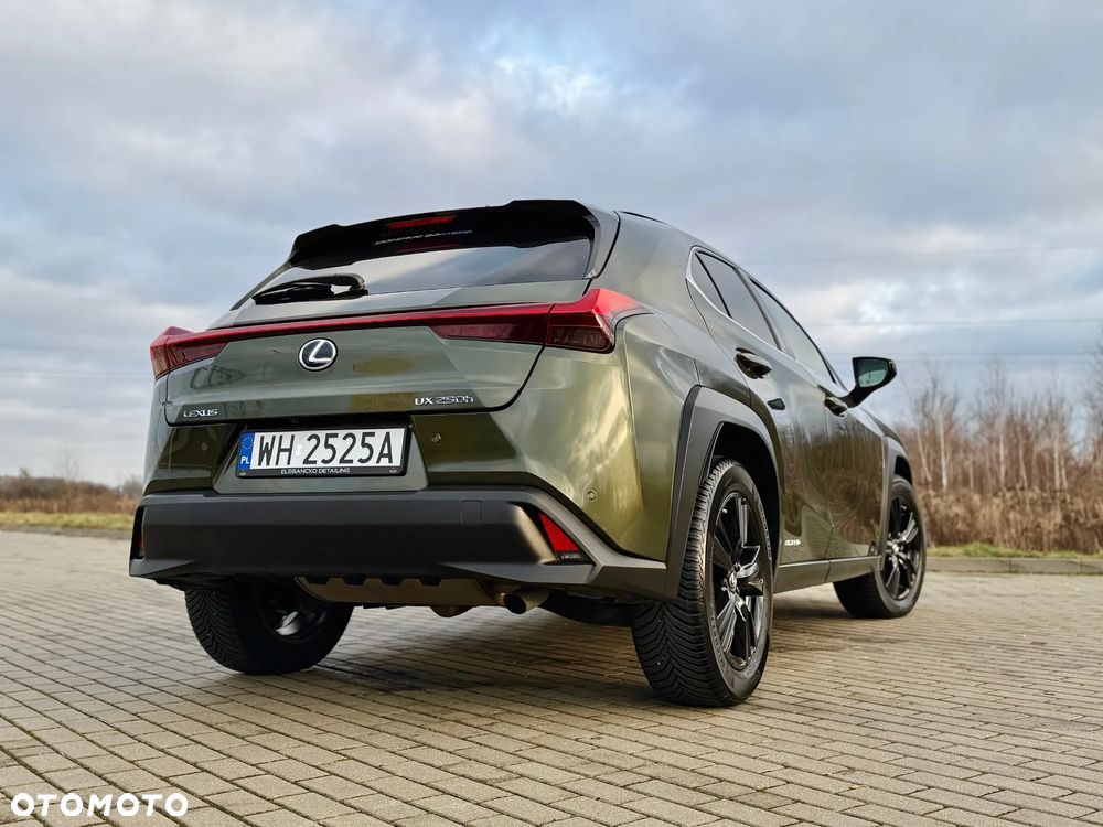 Lexus UX 250h GPF F Impression 2WD - 15