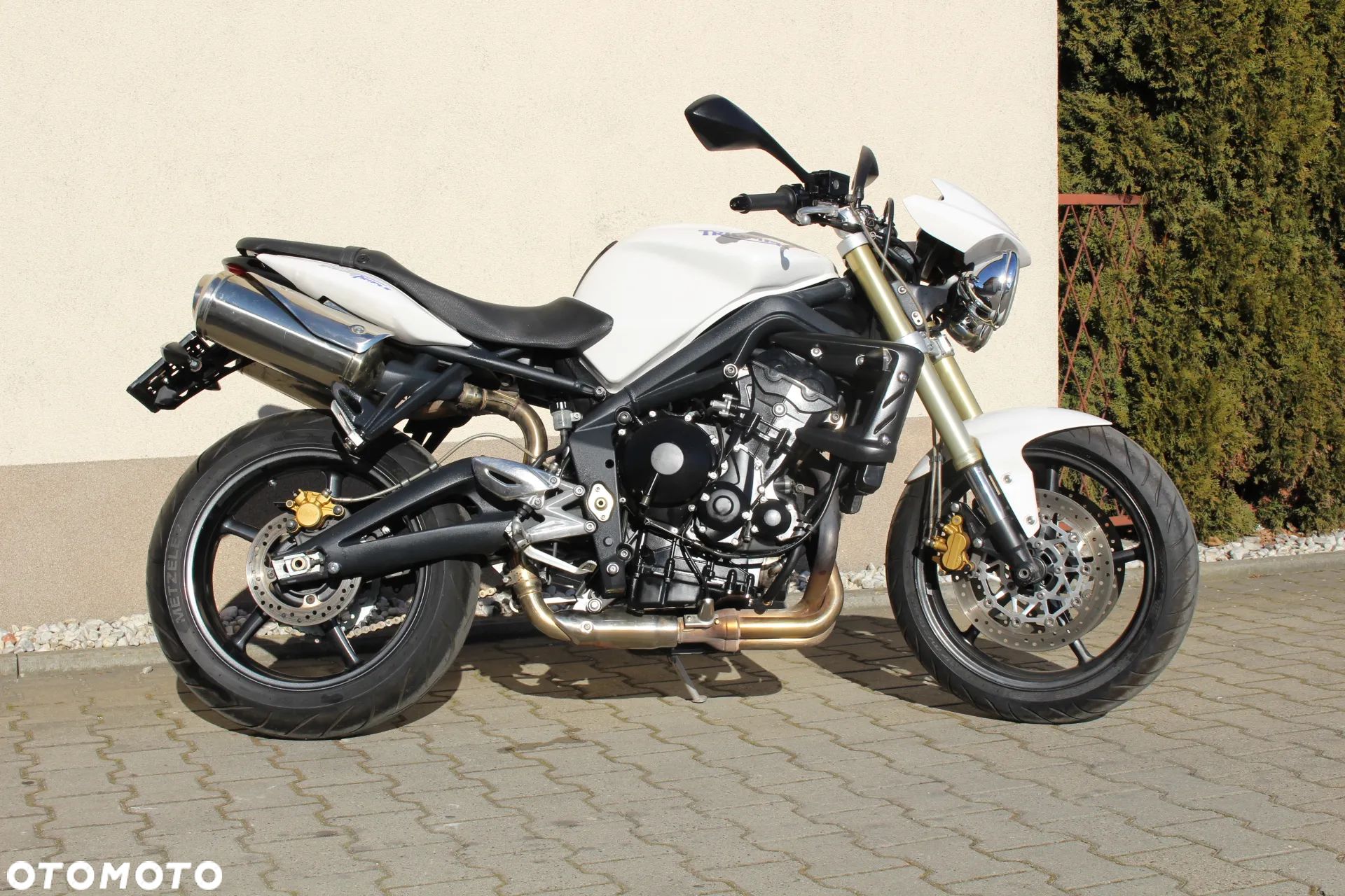 Triumph Speed Triple - 1