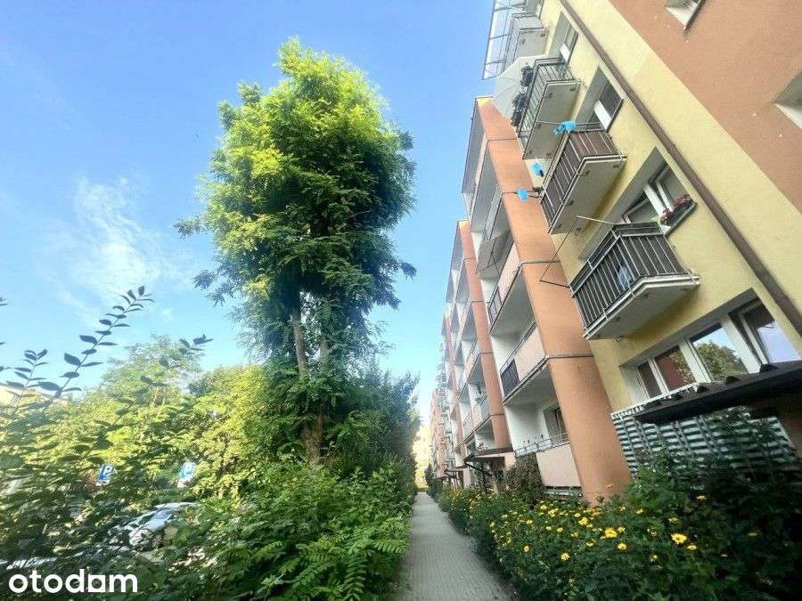Super Cena. Trzy Pokoje na Zachodzie. Balkon Piwni
