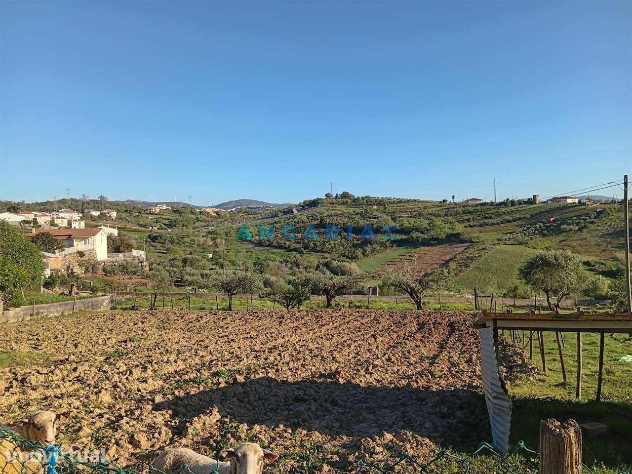 ANG1567 - Terreno para Venda em Batalha, Leiria - Grande imagem: 3/3