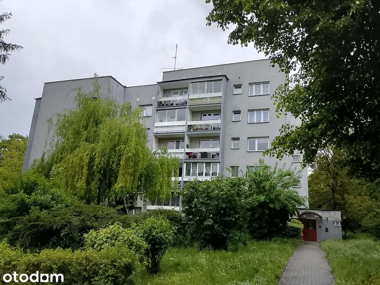 Bezpośrednio mieszkanie 2 pok. z balkonem oś.Złotego Wieku 44-park