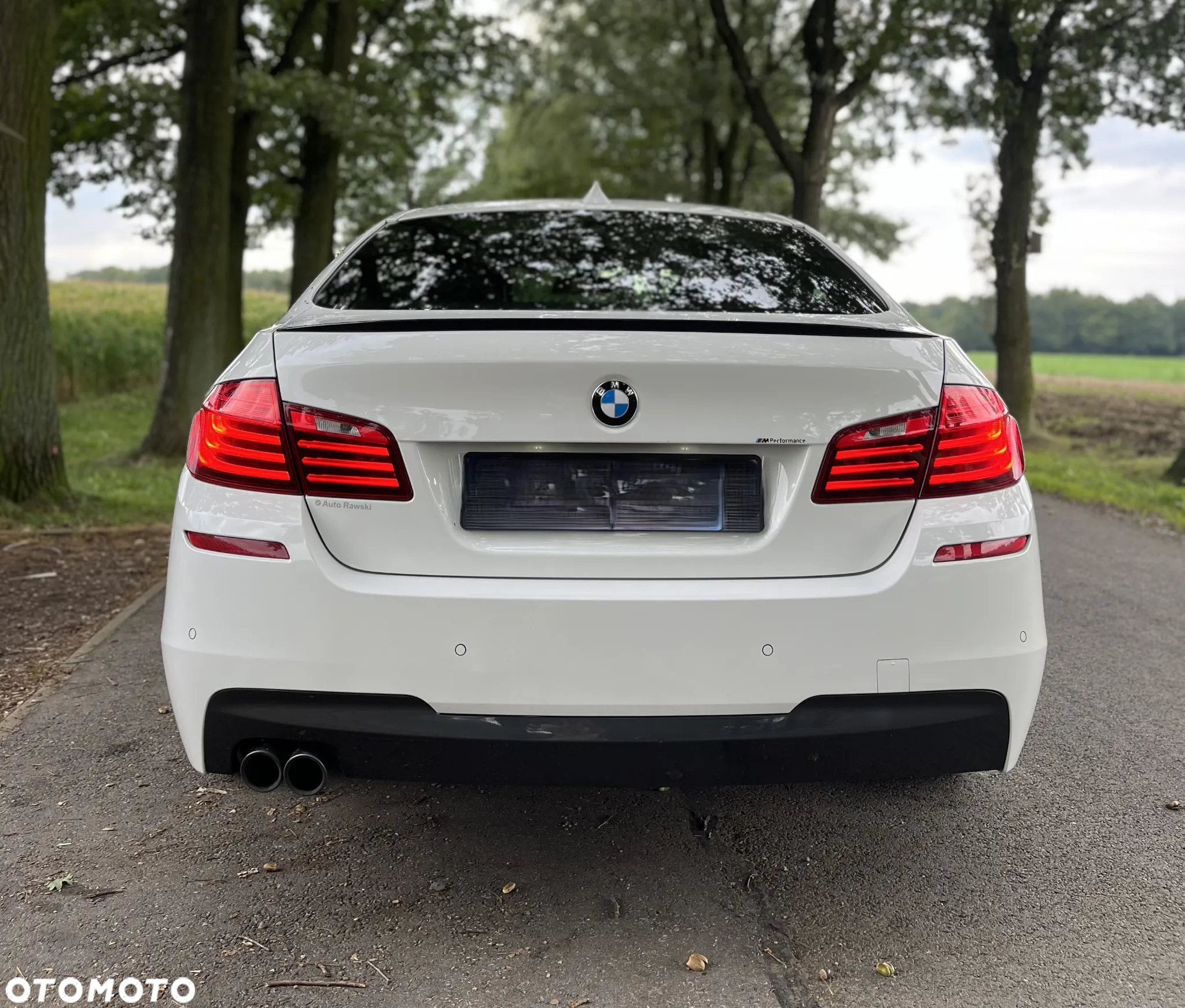 BMW Seria 5 525d xDrive - 11