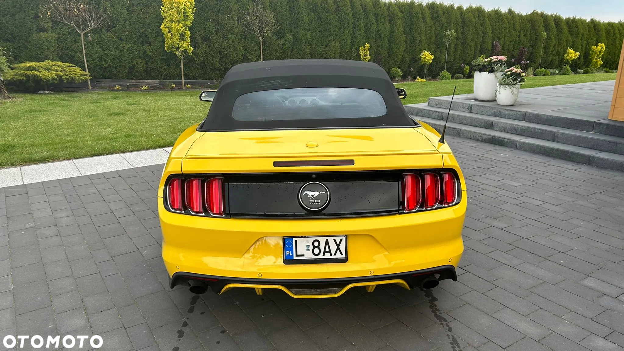 Ford Mustang 2.3 EcoBoost - 5
