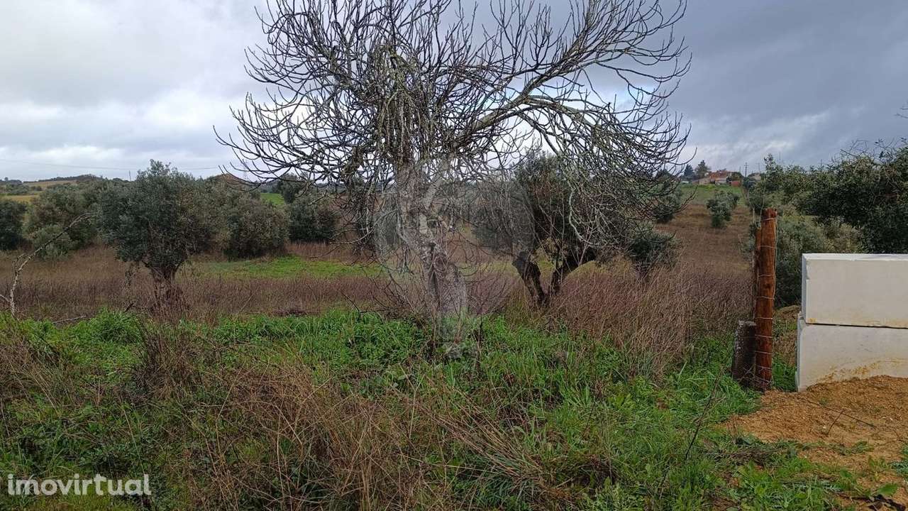 Terreno  para venda - Grande imagem: 4/4