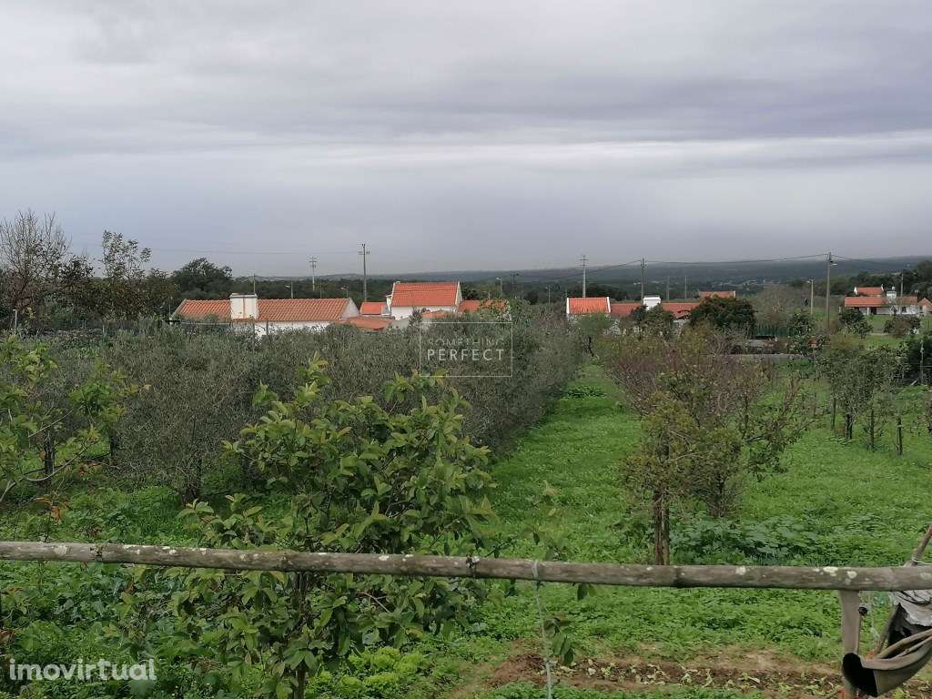 Terreno Misto com Vista Oceano - Grande imagem: 3/11