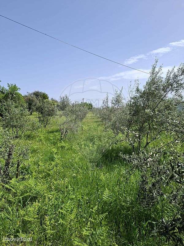 Terreno  para venda - Grande imagem: 4/5