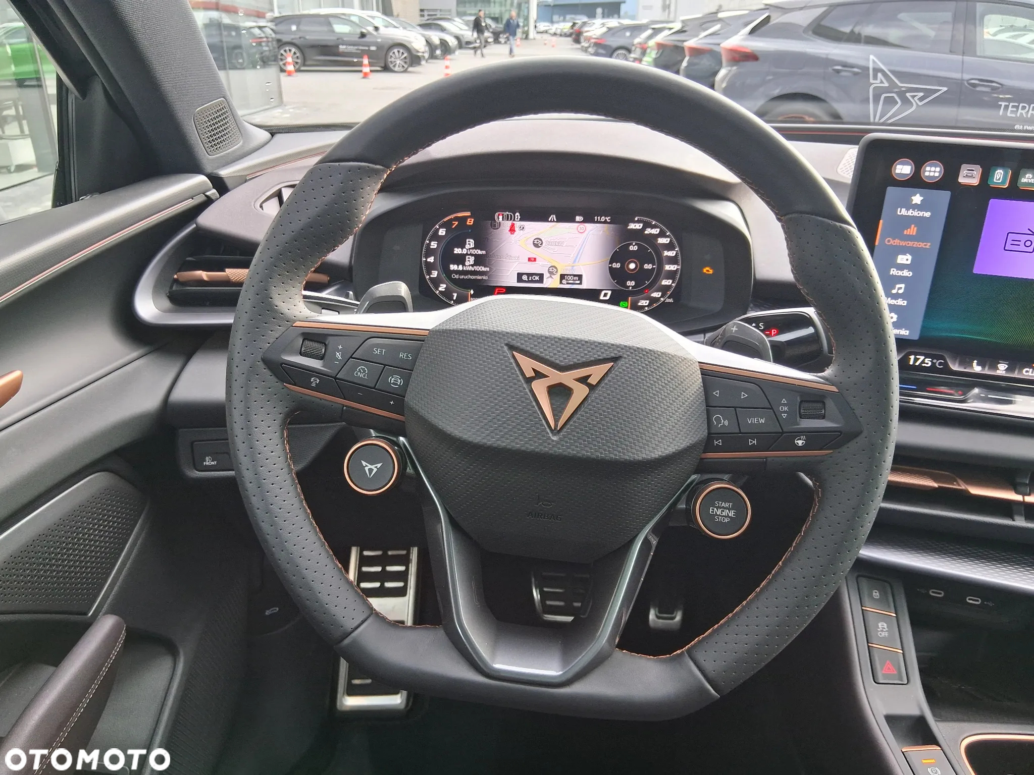 Cupra Terramar - 17