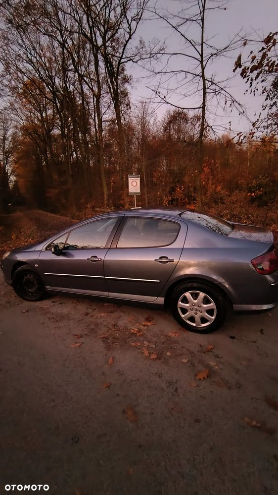 Peugeot 407 2.0 HDI ST Komfort EU4 - 3
