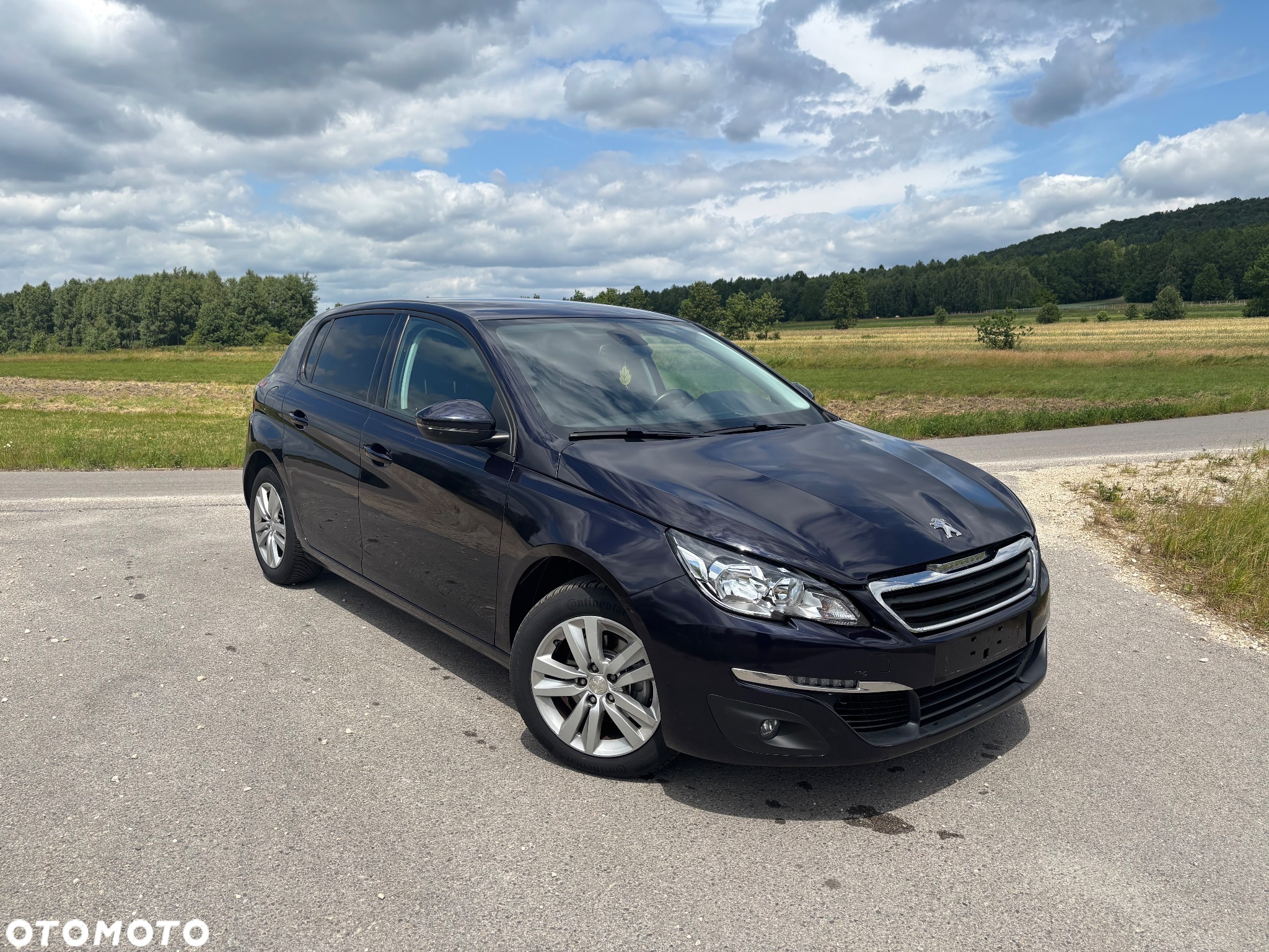 Peugeot 308 1.6 e-HDi Active S&S - 2