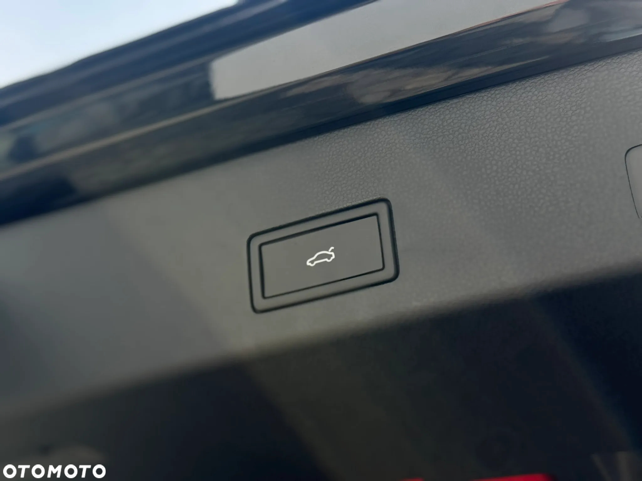 Volkswagen Golf VIII 2.0 TSI 4Motion R - 30