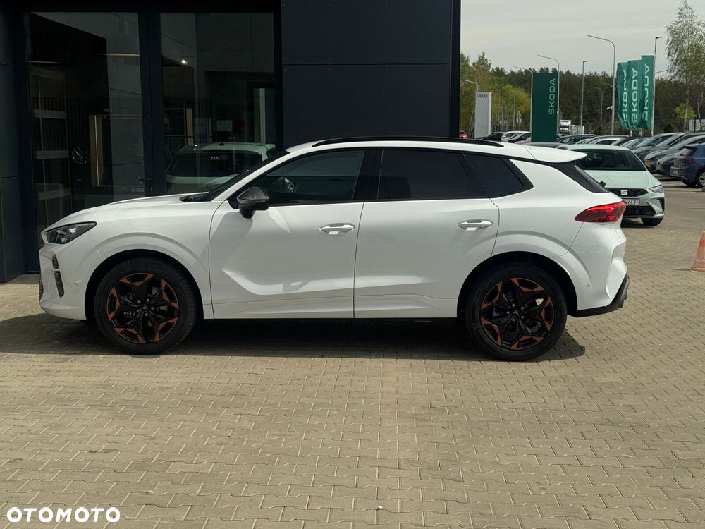 Cupra Terramar - 10