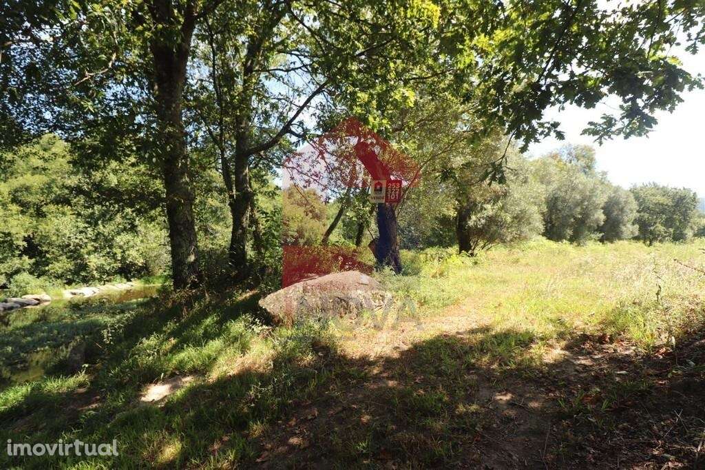 Terreno agrícola, Fiscal - Grande imagem: 2/32