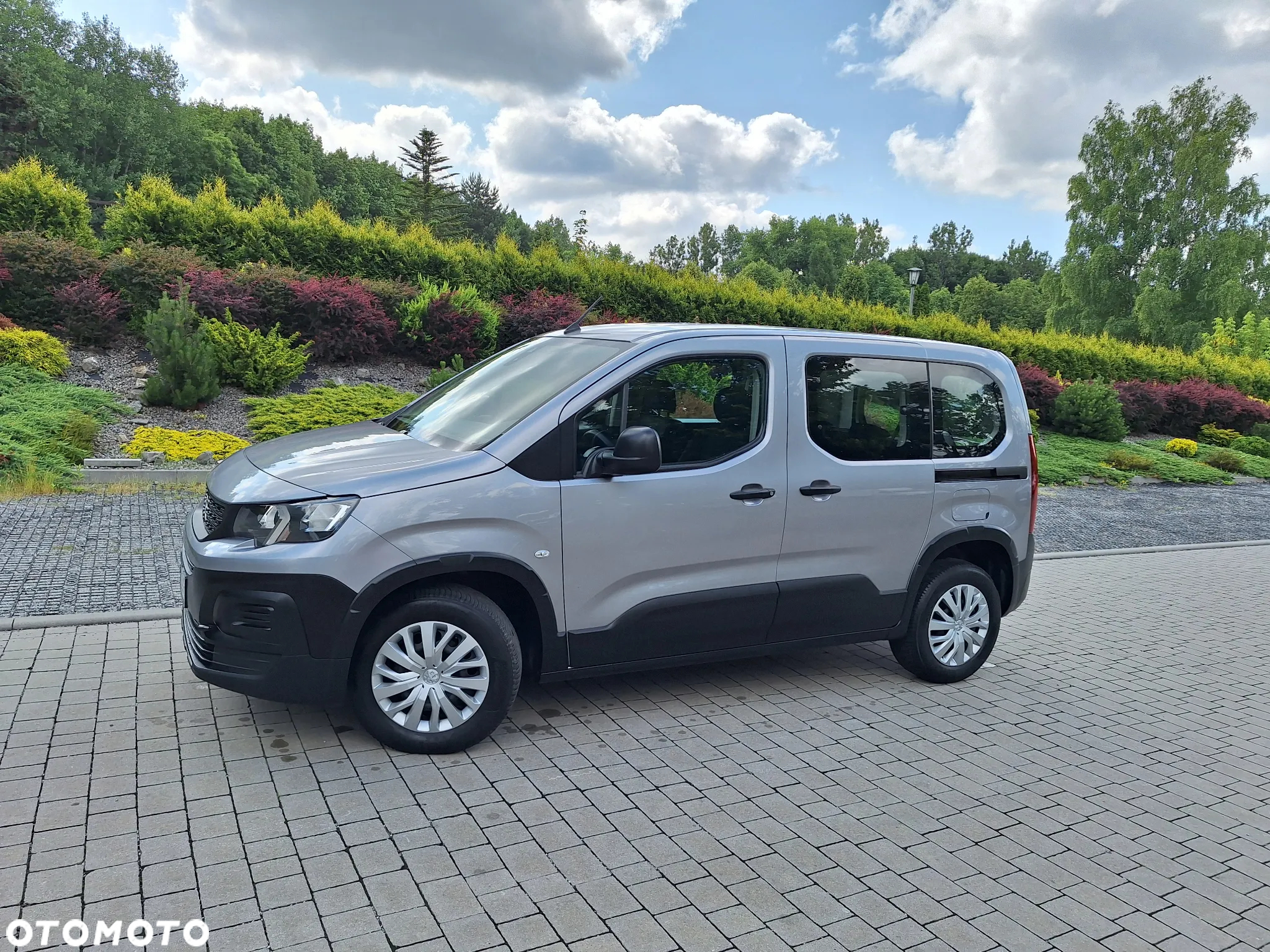 Peugeot Rifter 1.5 BlueHDI Active Pack S&S - 28