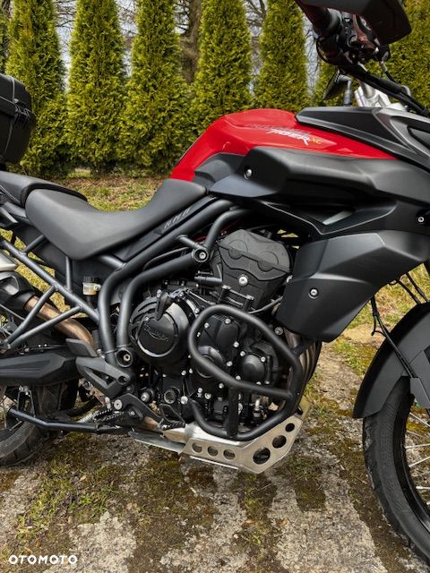 Triumph Tiger - 7
